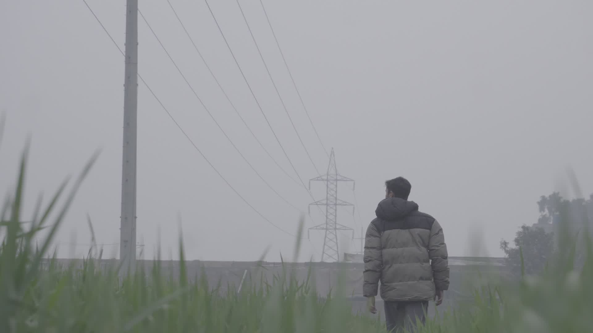Image 1B